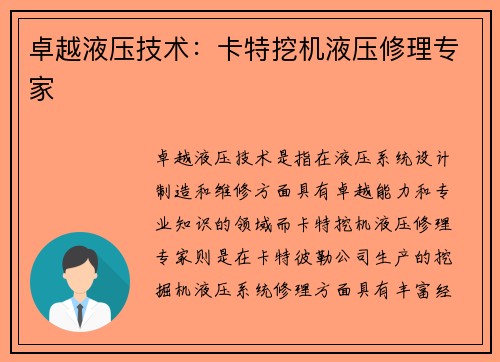 卓越液压技术：卡特挖机液压修理专家