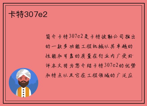 卡特307e2