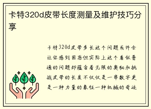 卡特320d皮带长度测量及维护技巧分享